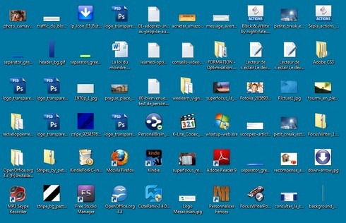LES ICONES